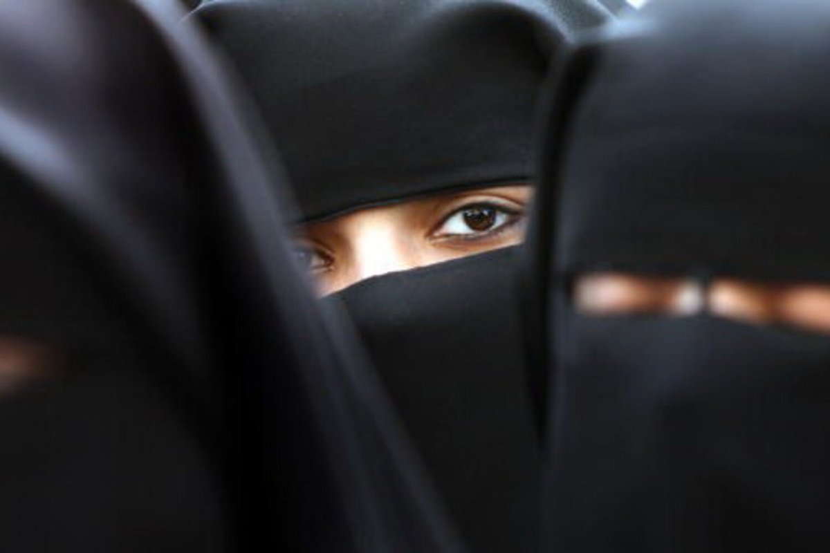 Brasil Alternativo tweet media