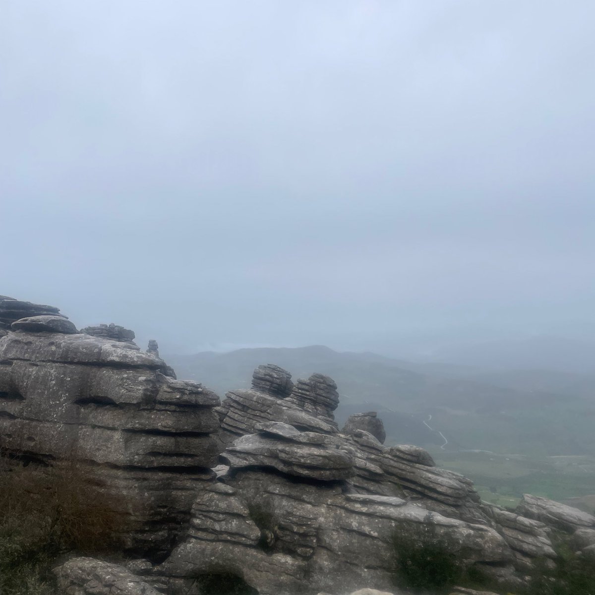 Sophy Ridge tweet media