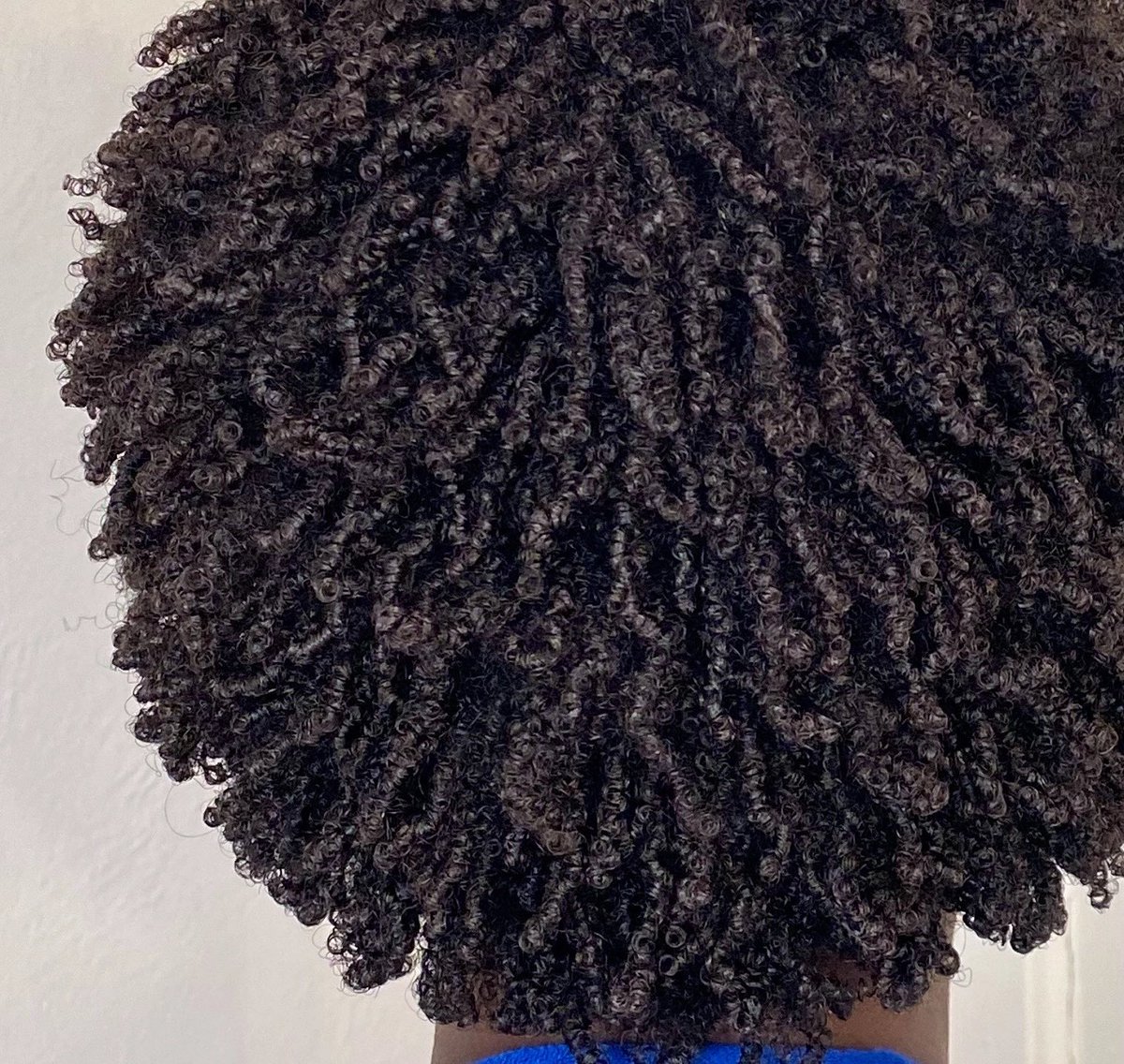 pussy should face the world! tweet media