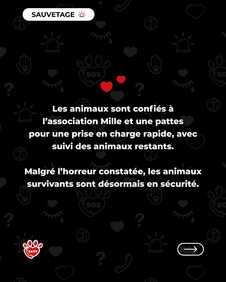 SOS Maltraitance Animale tweet media