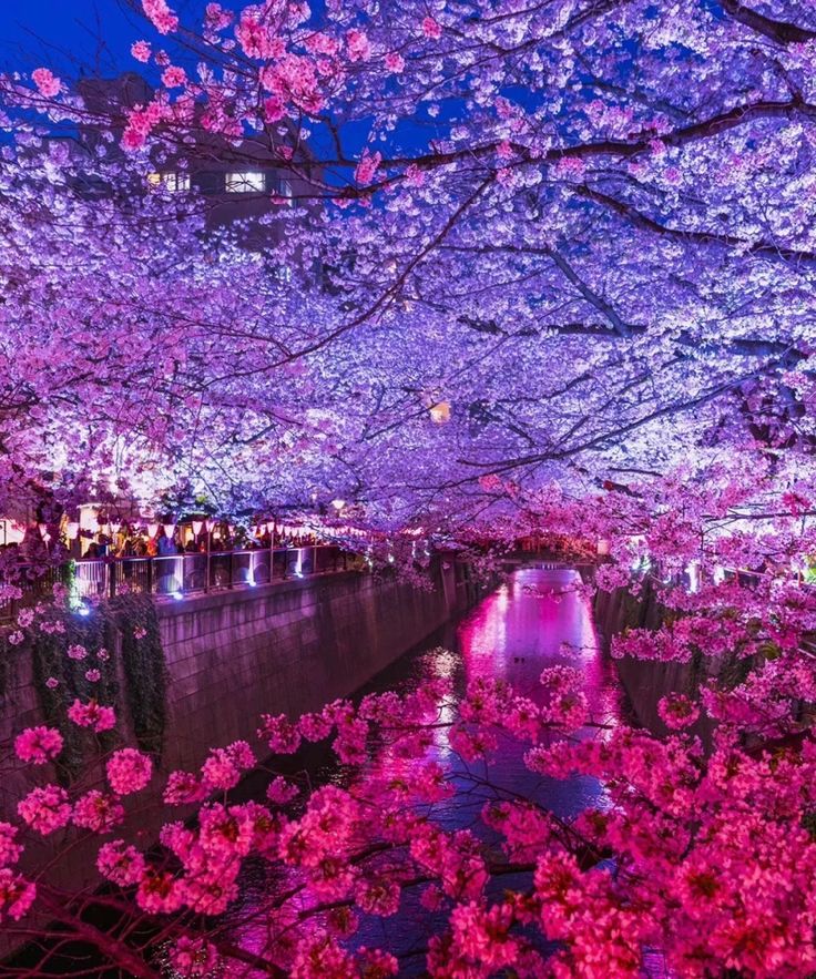 Beauty of Nature. tweet media