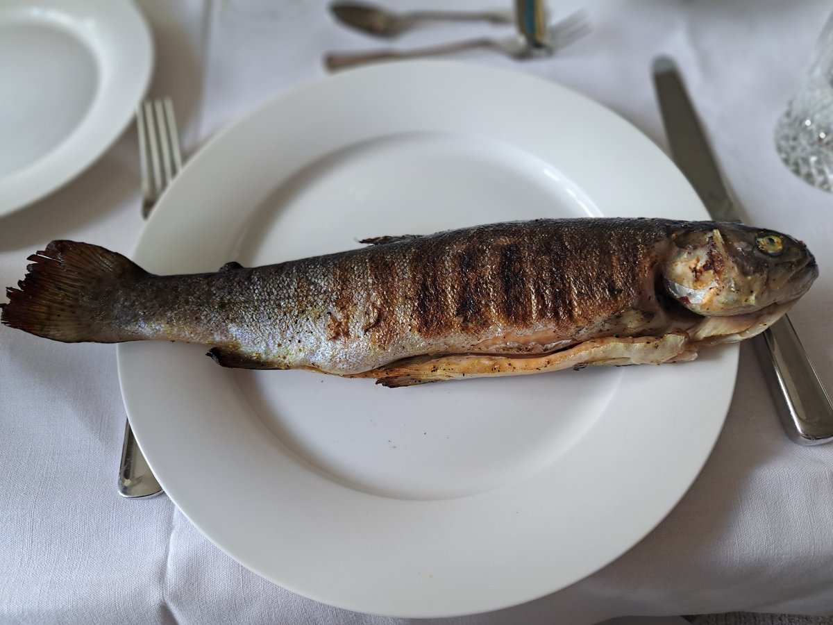 Johanna Bayer tweet media