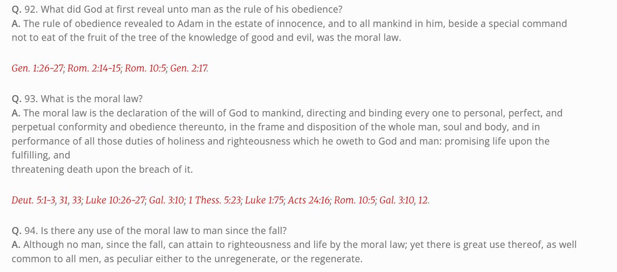 LordTemplar tweet media