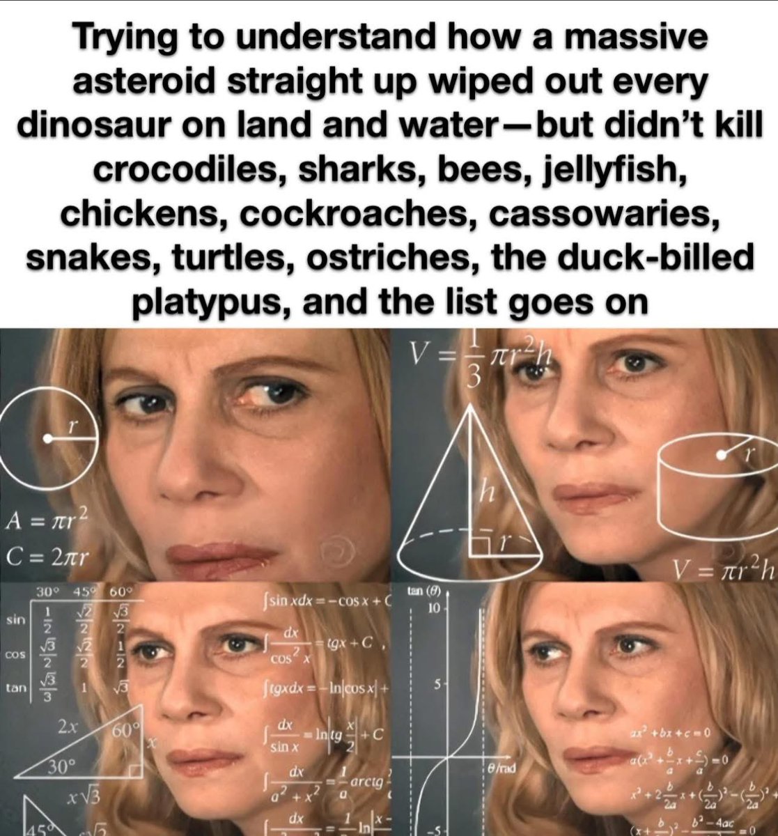 Not Evolution tweet media