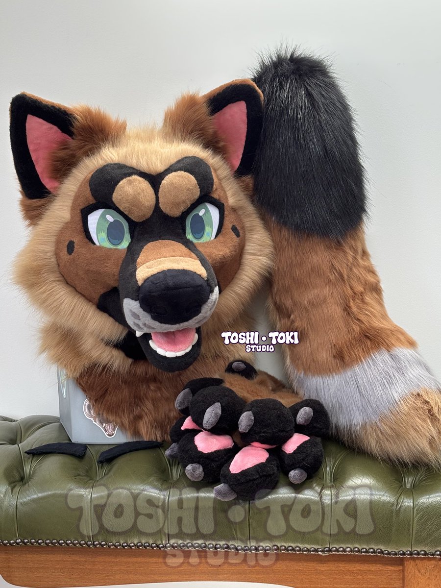 🏙️ Toshi Toki 🏙️ tweet media