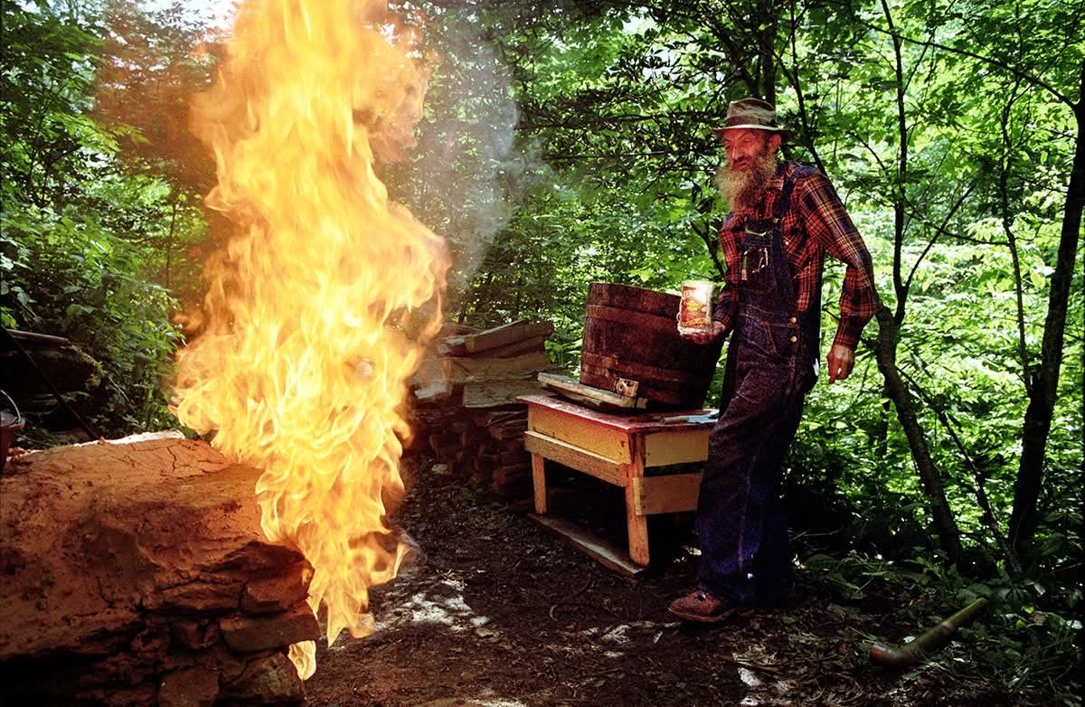 Buffalo Dan tweet media