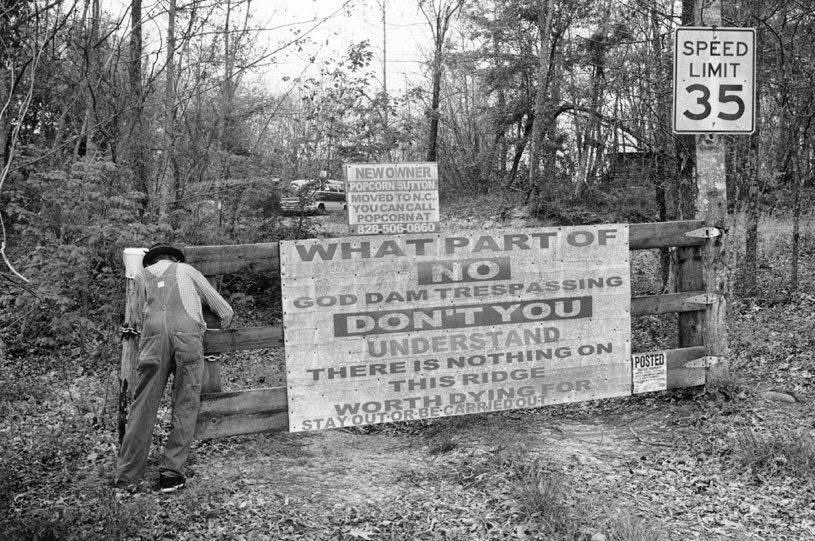 Buffalo Dan tweet media