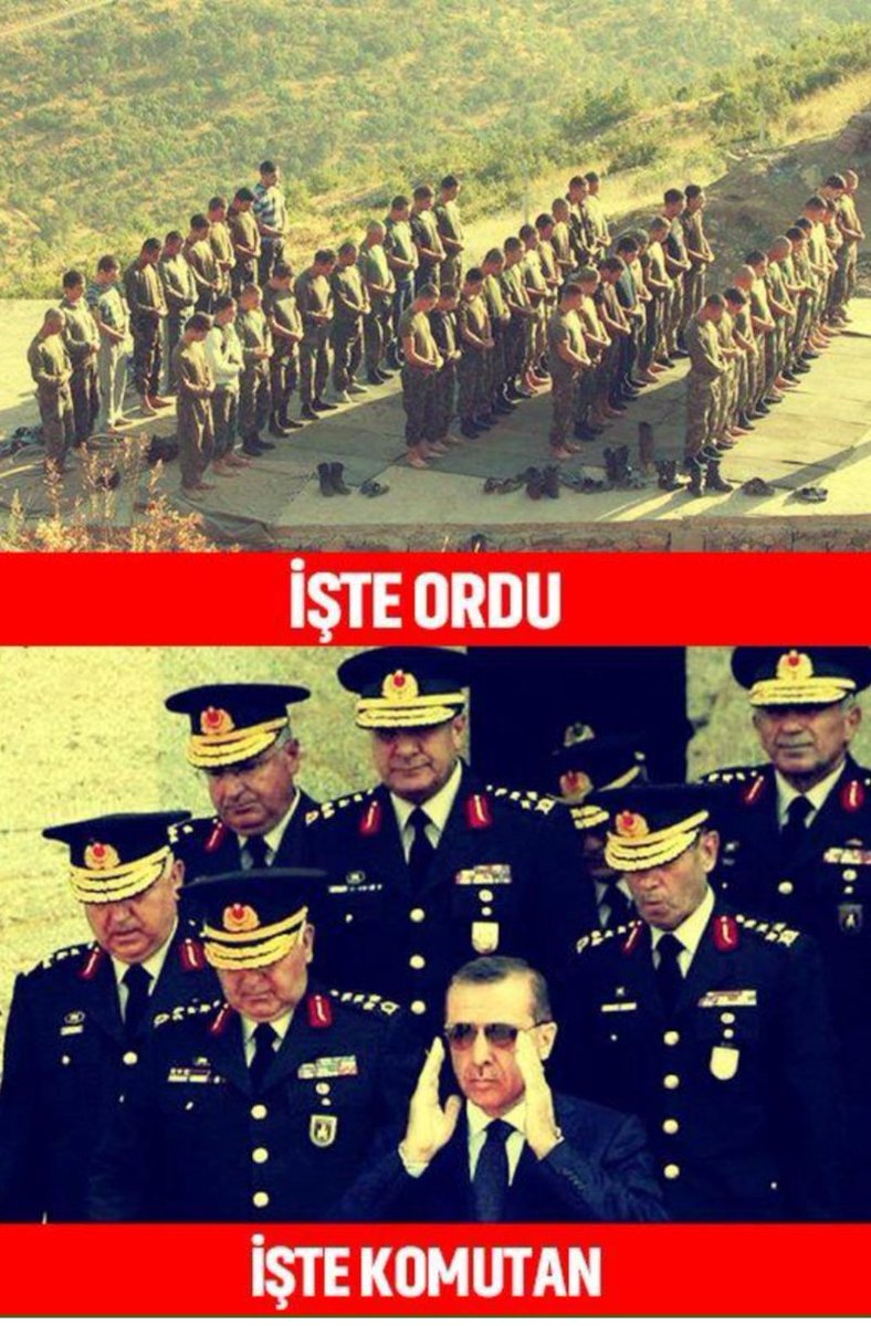 Özlem.efe free 🇵🇸🕊🦚 tweet media