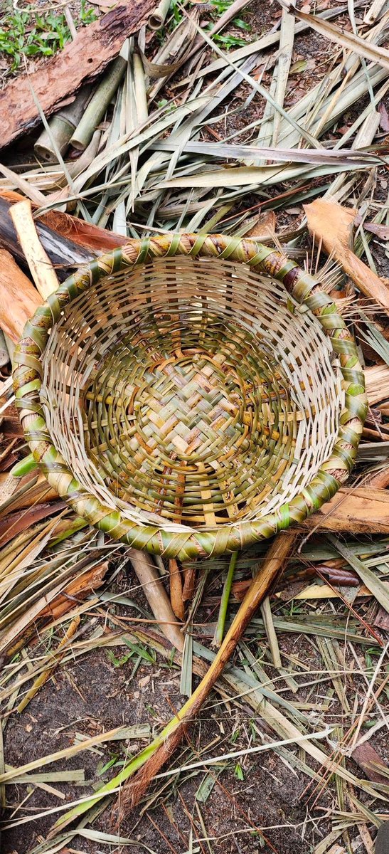 de Heyn Woeste C. tweet media