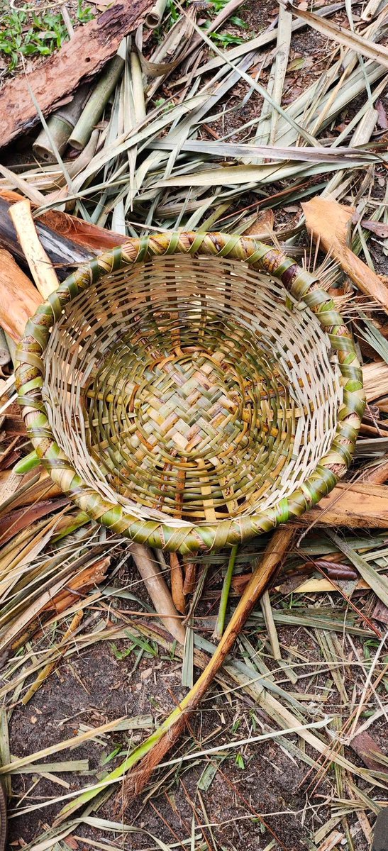 de Heyn Woeste C. tweet media