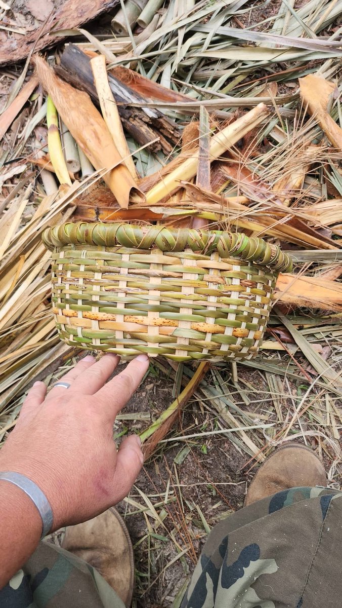 de Heyn Woeste C. tweet media