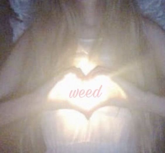 claire ❀ tweet media