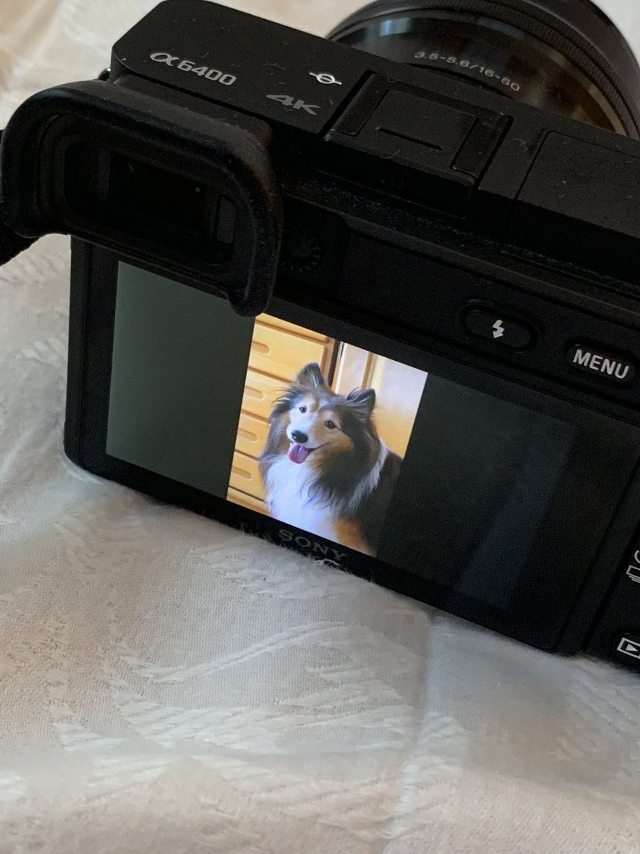 坂上シュウ Syu Sakagami 絵仕事募集中 tweet media