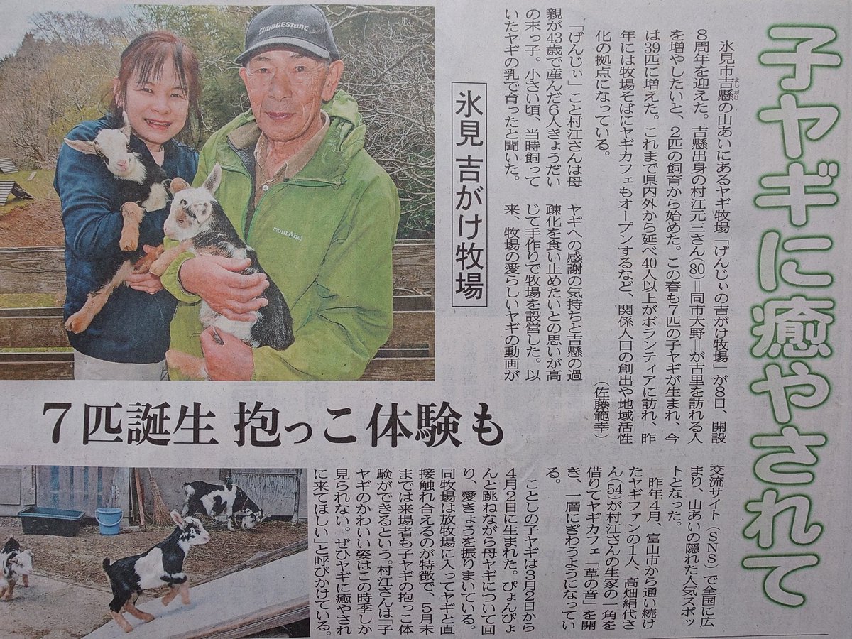 家畜は何匹ではなく何頭って数えるって聞いたけど…私が違うのかな