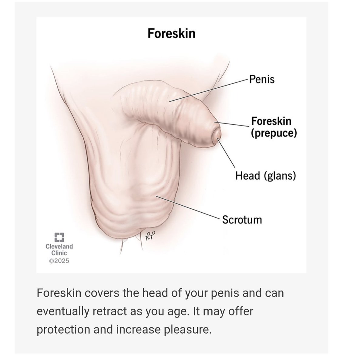 NuttyWeenie 🥜 tweet media