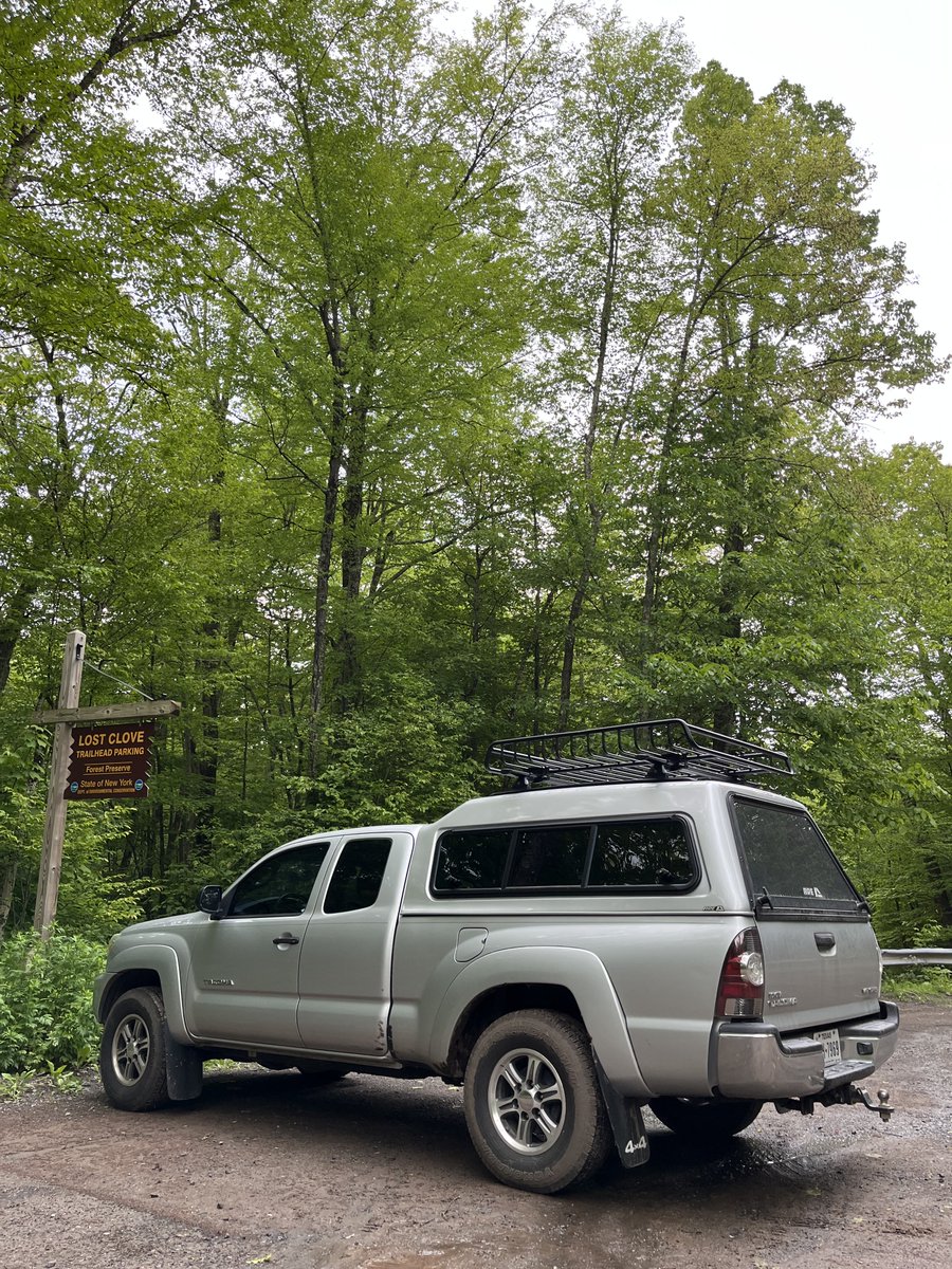 Seth Harp tweet media