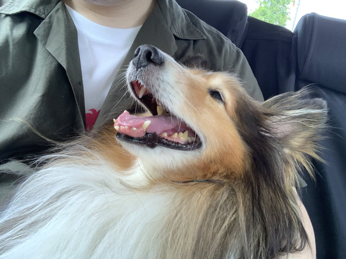 坂上シュウ Syu Sakagami 絵仕事募集中 tweet media