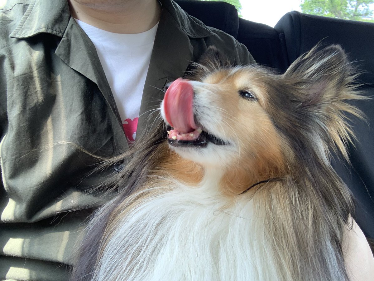 坂上シュウ Syu Sakagami 絵仕事募集中 tweet media