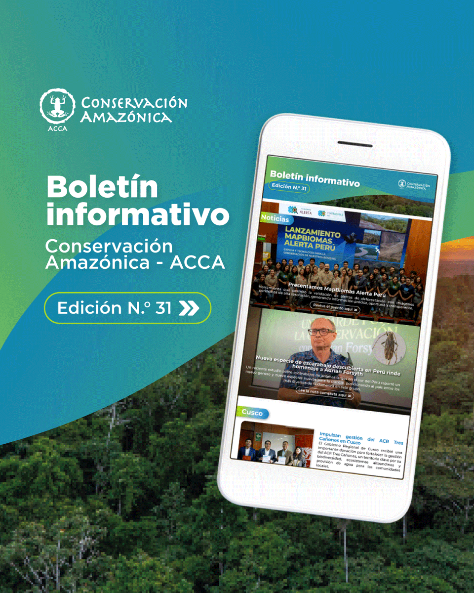 Conservación Amazónica - ACCA tweet media