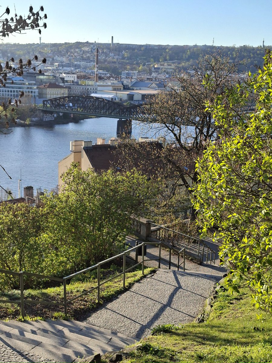 Paliparan tweet media