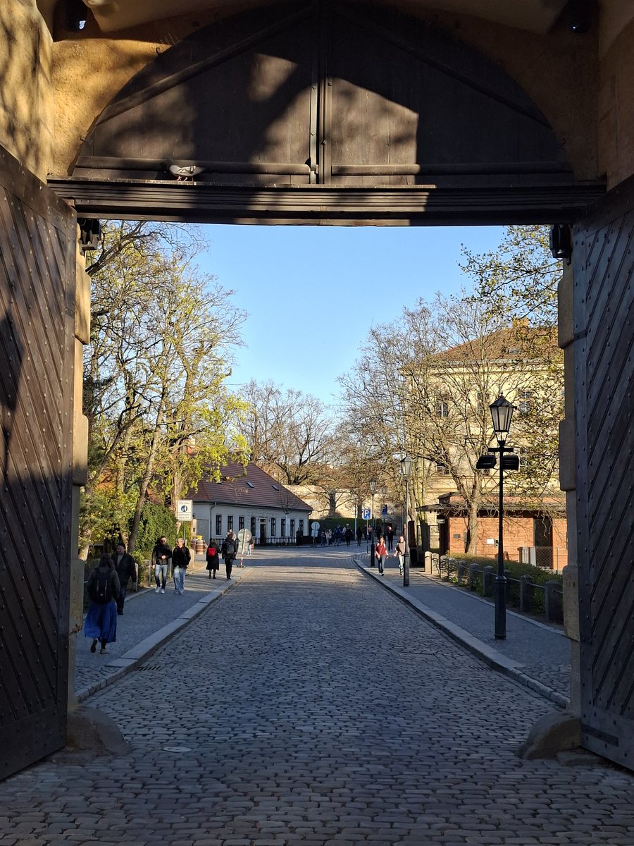 Paliparan tweet media