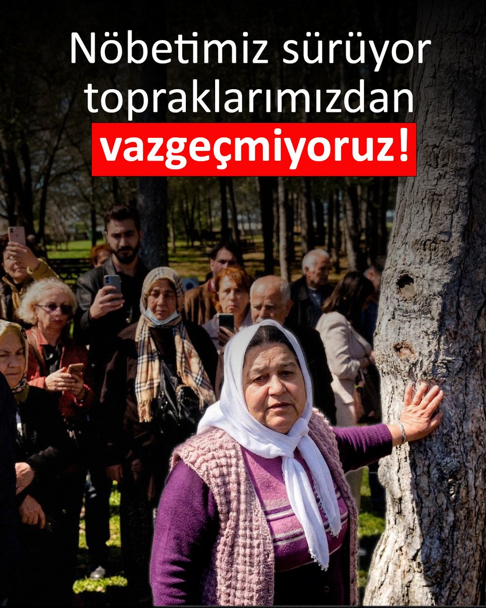 Akbelen Yuvamız Vermeyeceğiz 🌱🫒🌲 tweet media