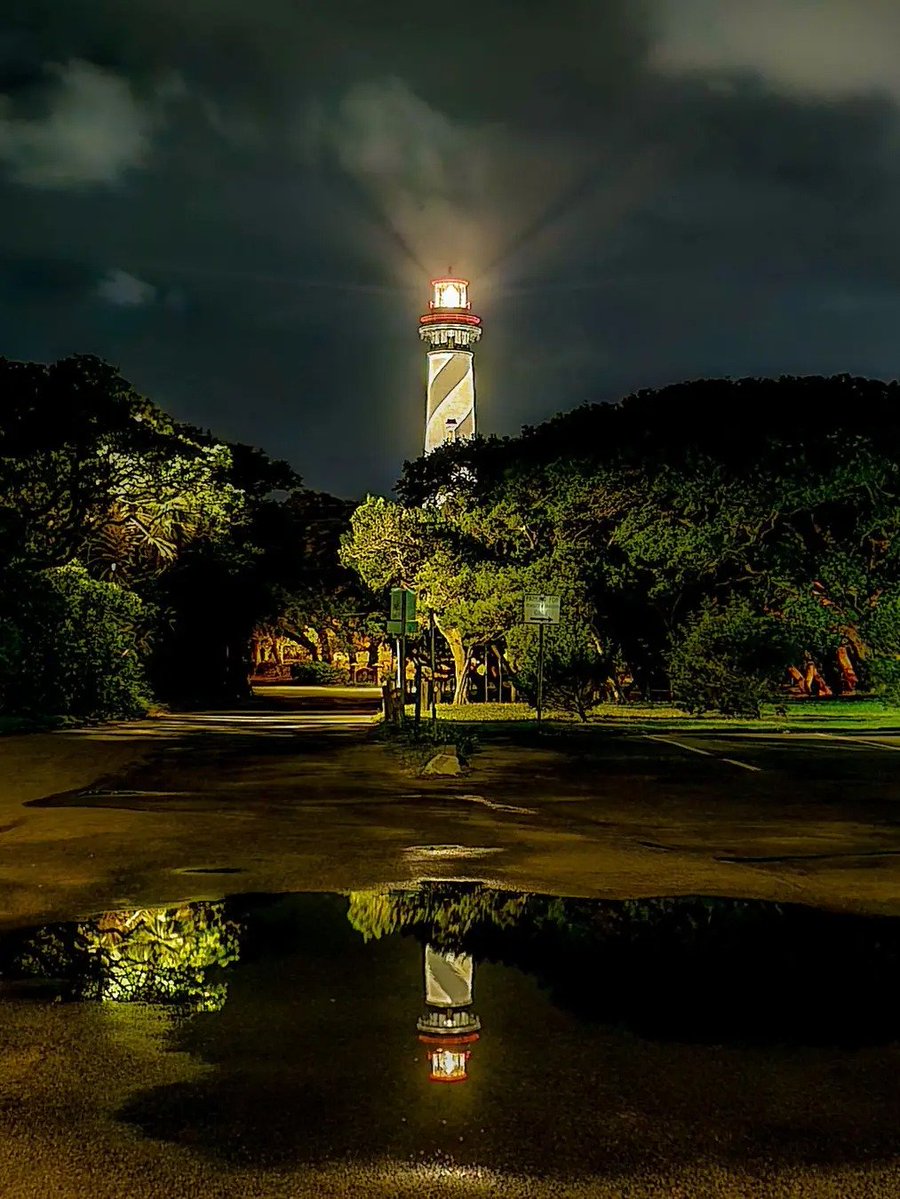 Flying Lizards tweet media