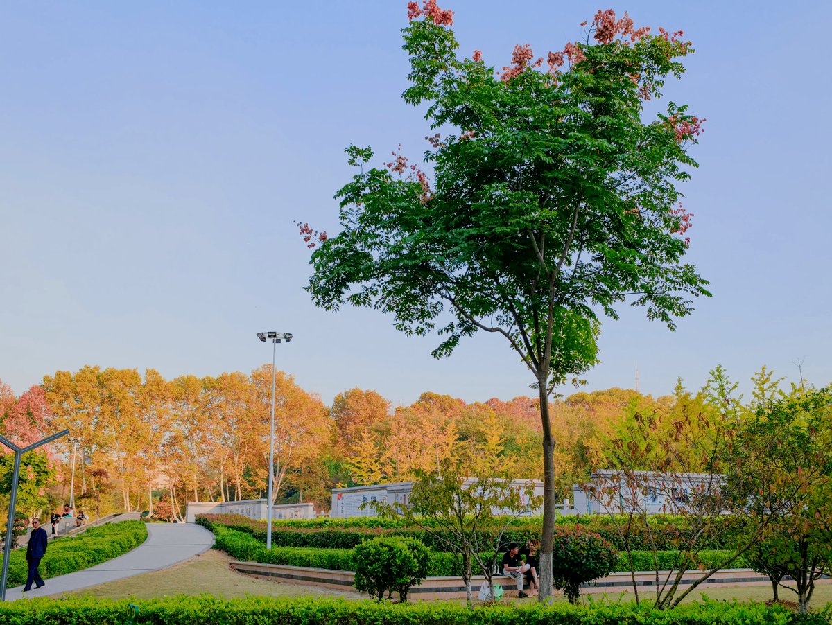 Leric fernando Silva de lima tweet media