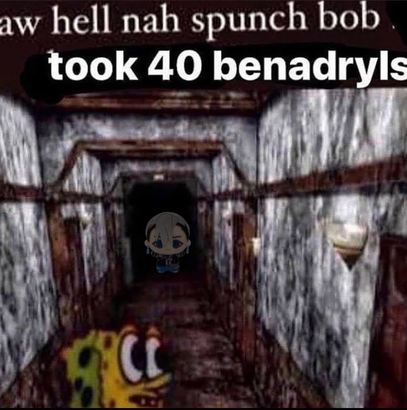 Zanka’s World Tour tweet media