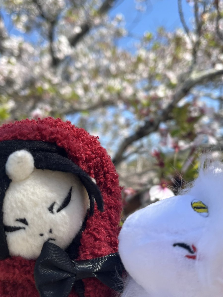 広海＠6月千前 tweet media