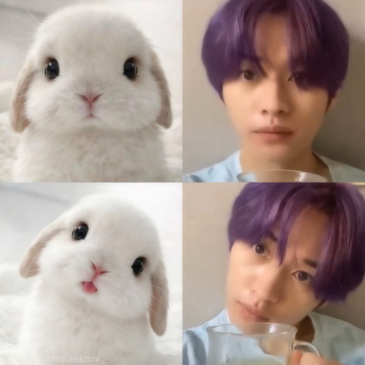 emi 🍮 lee know day !!! tweet media