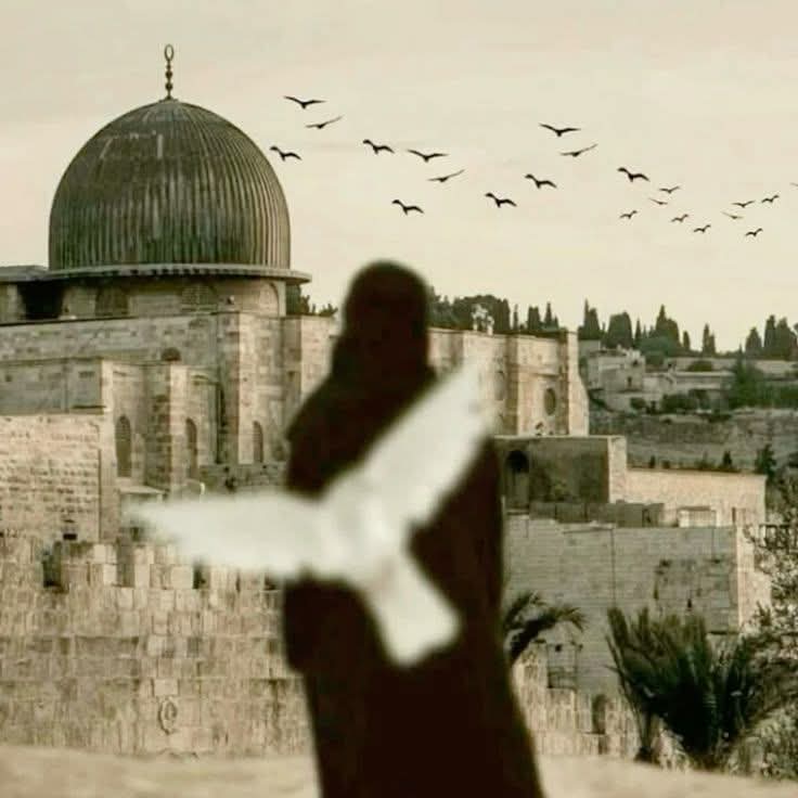 خــديـجـة 🪶 tweet media