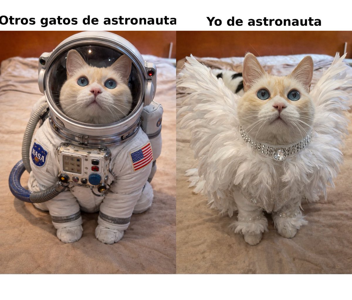 🌸Koshka Morrison Diesel💜 tweet media