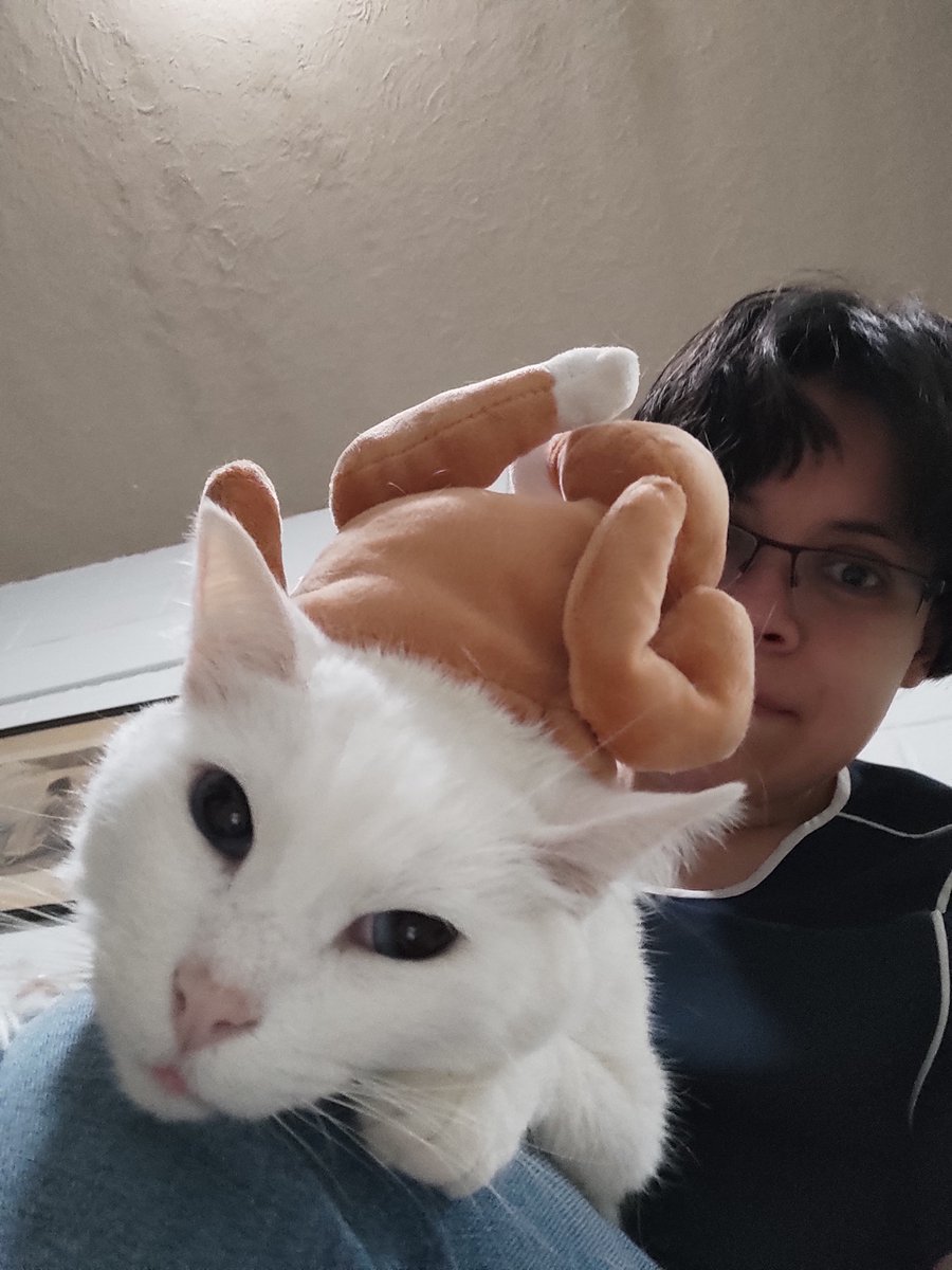 Carmen LaDeLosGatos tweet media