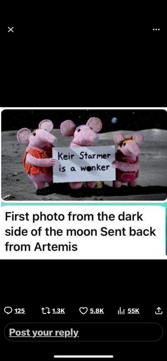 Kizzy2024 tweet media