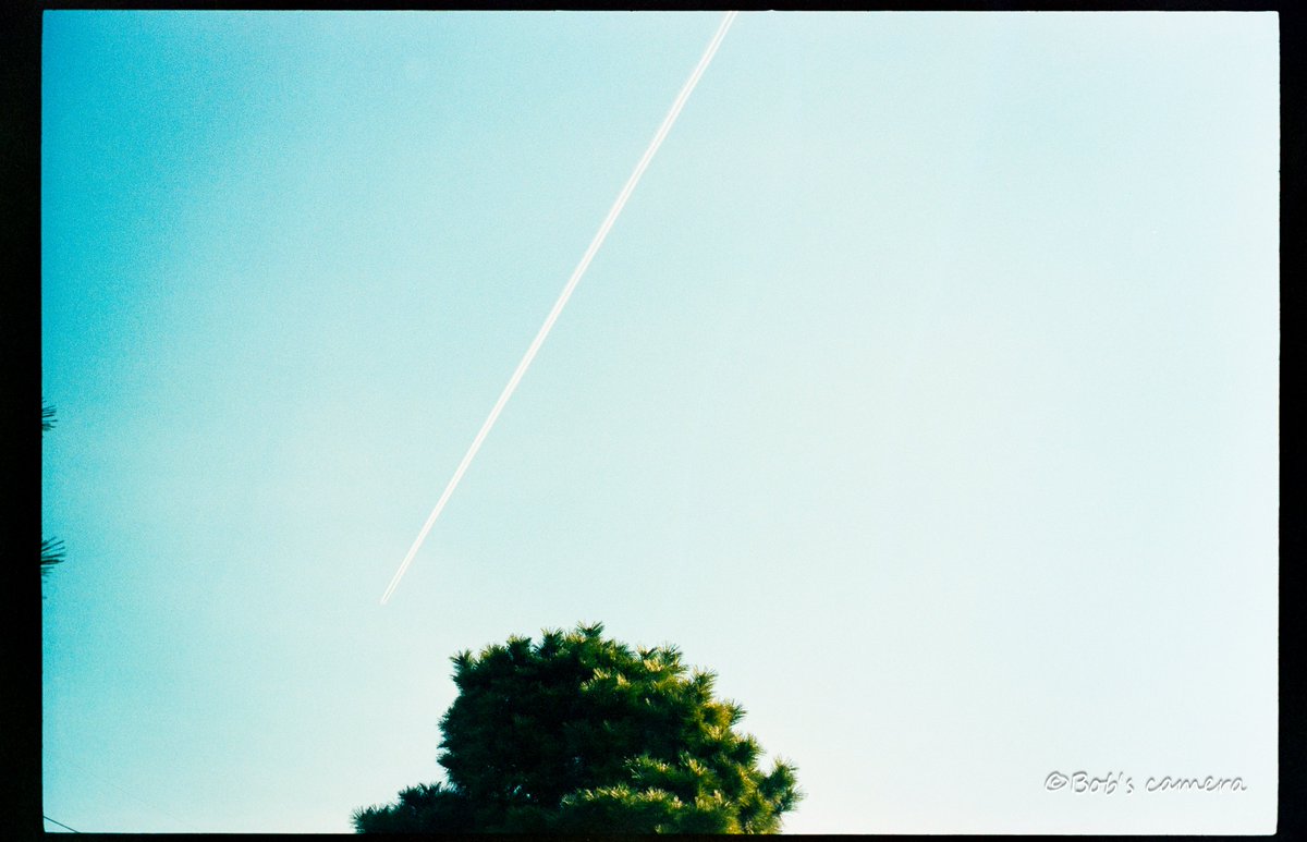 よボブ tweet media