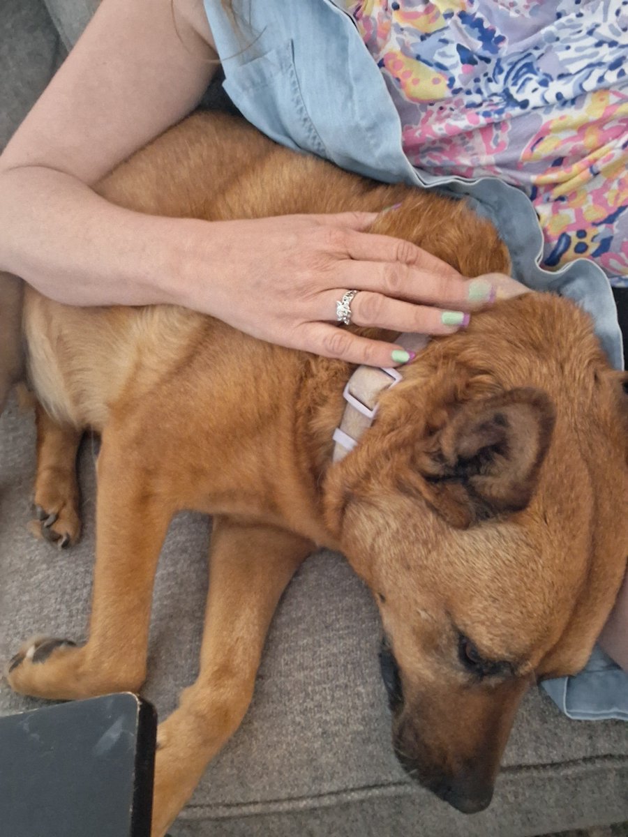 🌊🐌🕉️🩵 tweet media