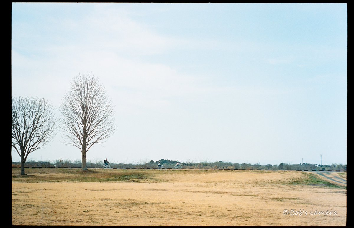 よボブ tweet media