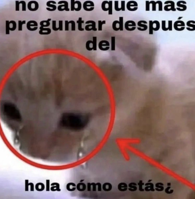 ˚✧₊Ash⁺˳✧༚ tweet media