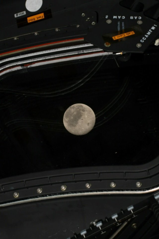 Neural Space tweet media