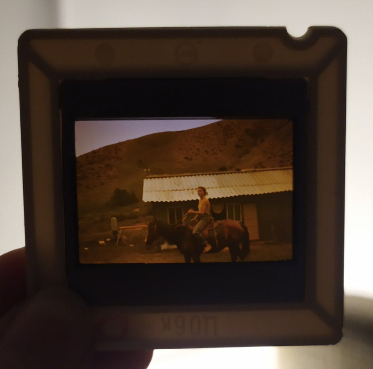 кася міся tweet media