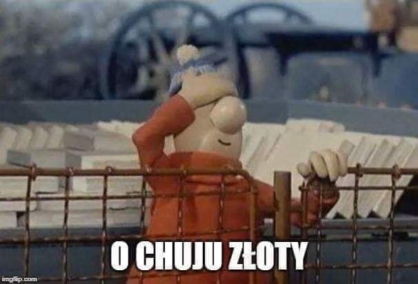 Roman Adi🇵🇱🚴 tweet media