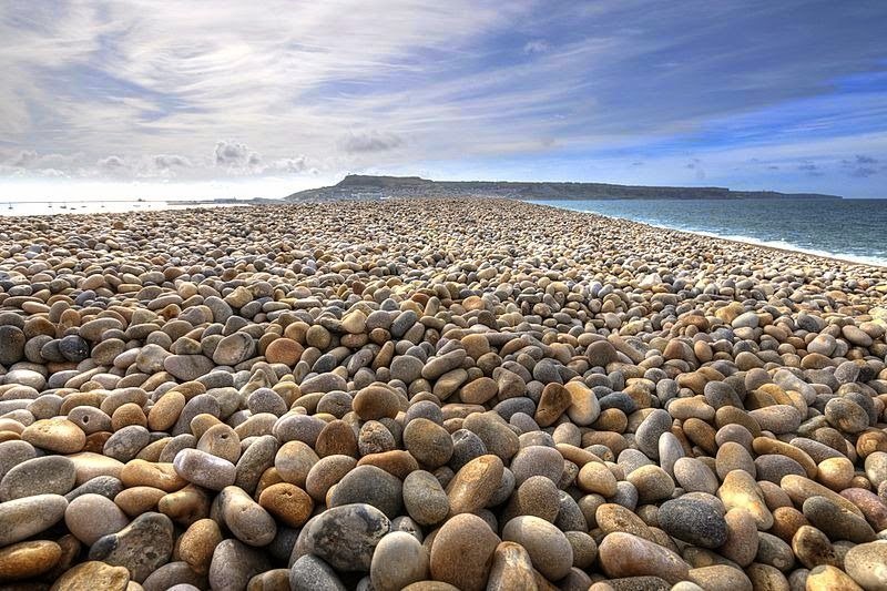 AskBeavis.com | Ask me anything . . 💙🇺🇦💛✌🙏 tweet media