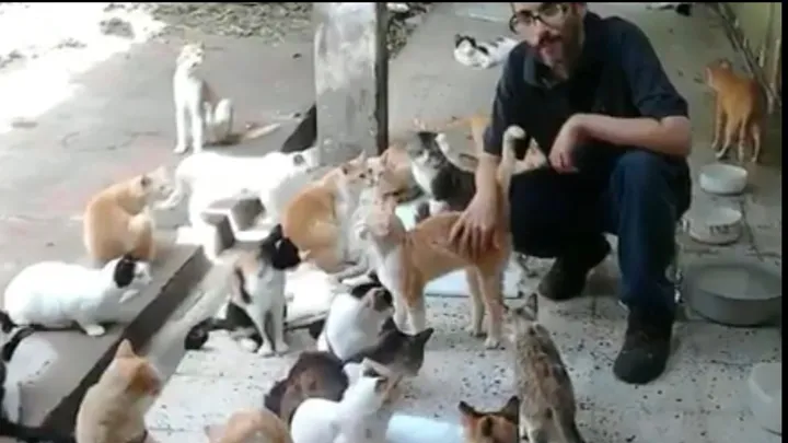 Elena Lorenzini tweet media