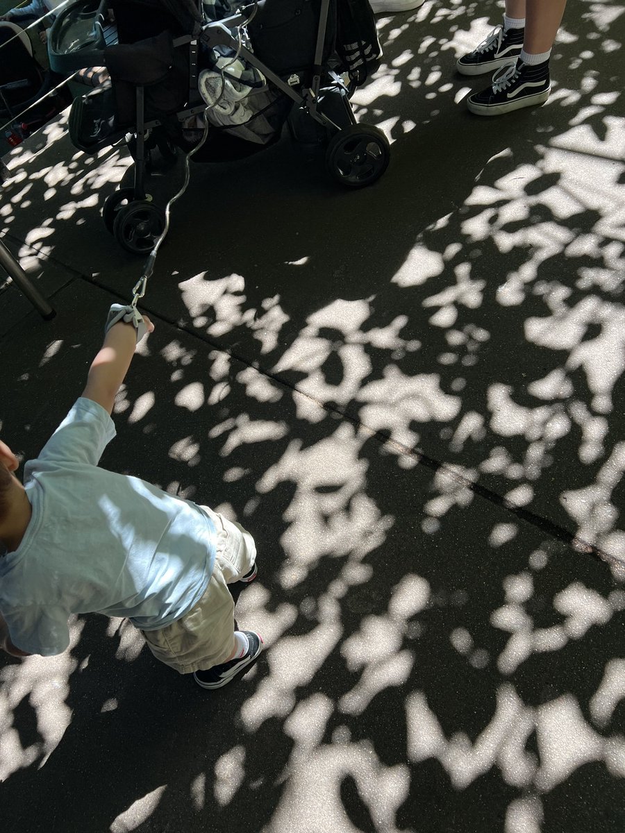 Mr. Dennis tweet media