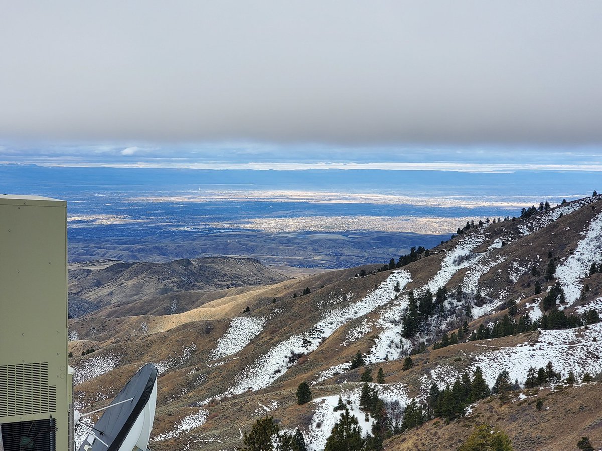 Freeman™ tweet media