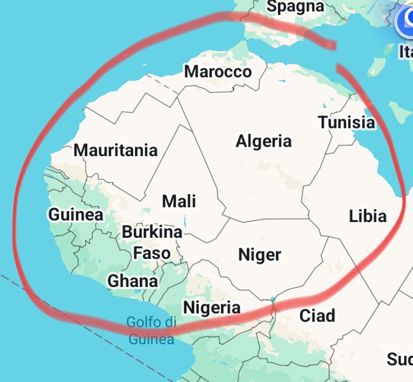 Fabio Minelli tweet media