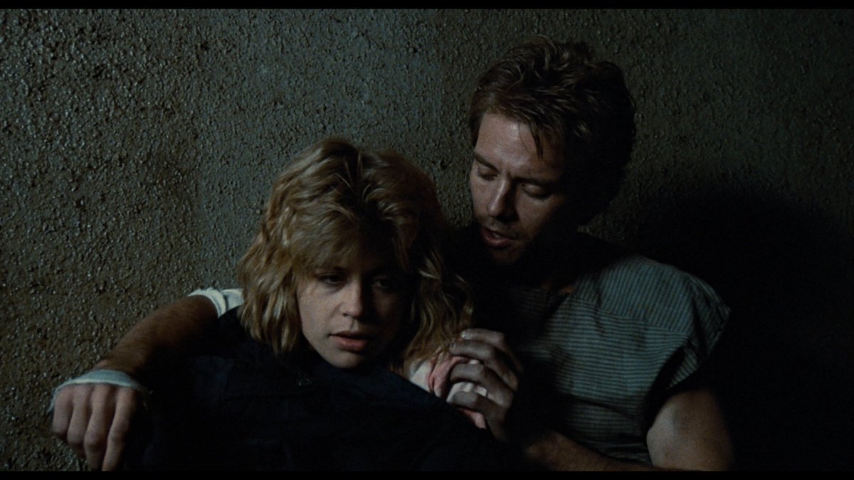 sci.fried tweet media