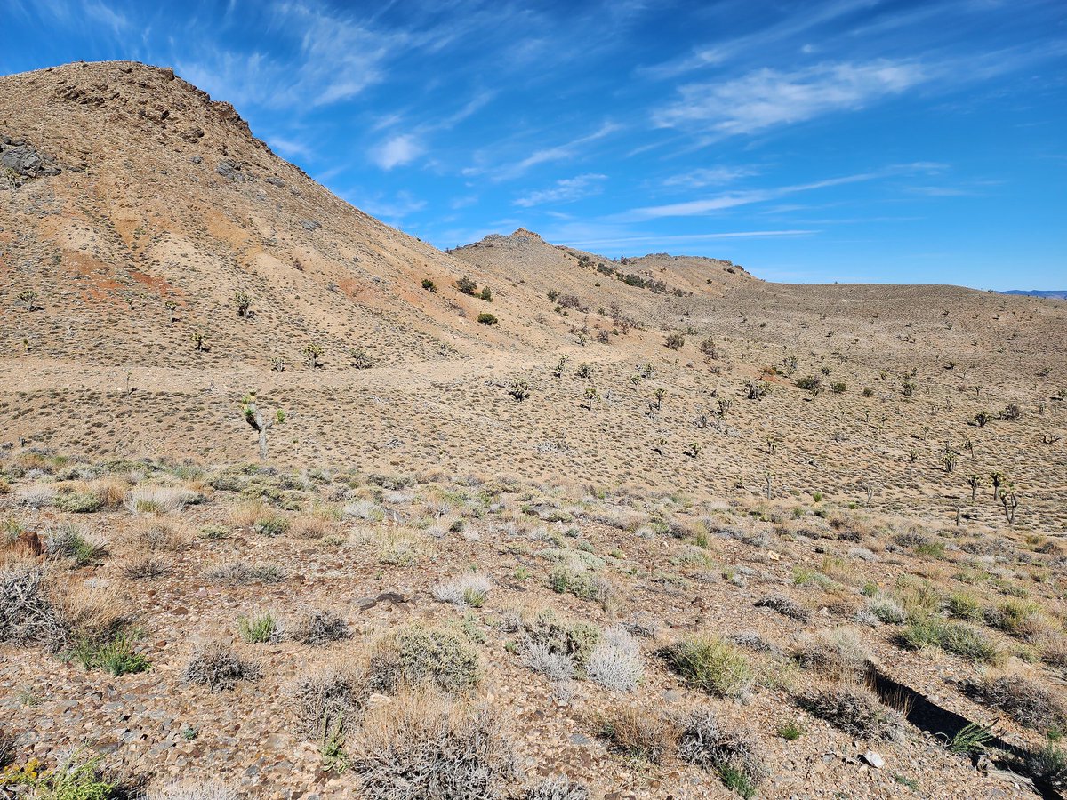 Bureau of Land Management California tweet media