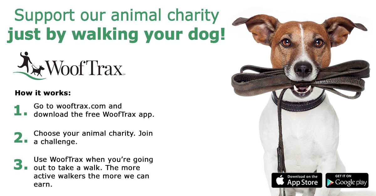 Chicago Pet Rescue tweet media